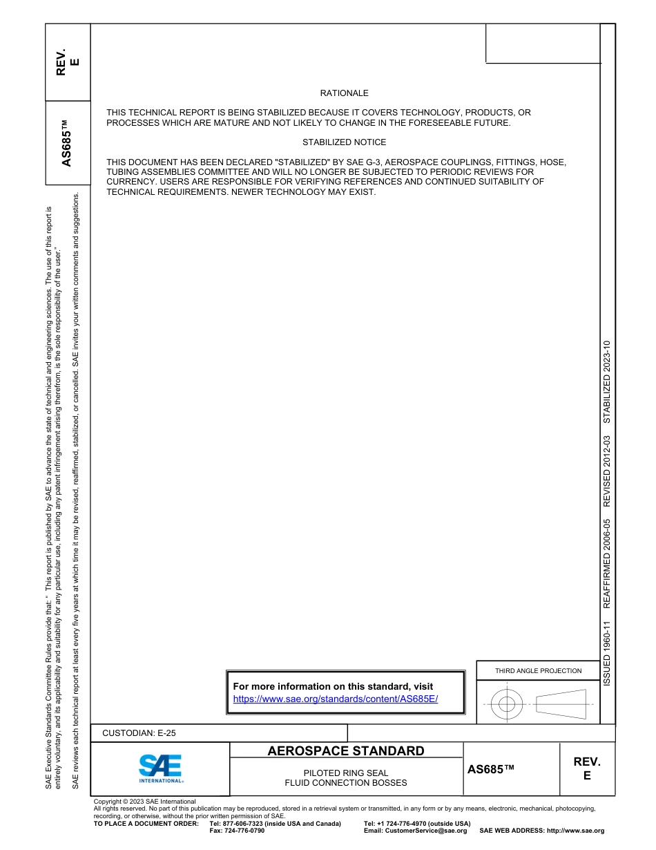 SAE AS685E-2023.pdf_第1页