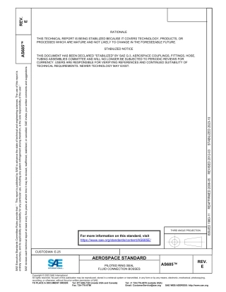 SAE AS685E-2023.pdf