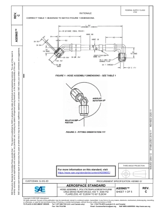 SAE AS5965C-2025.pdf