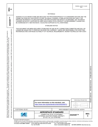 SAE AS25487C-2025.pdf