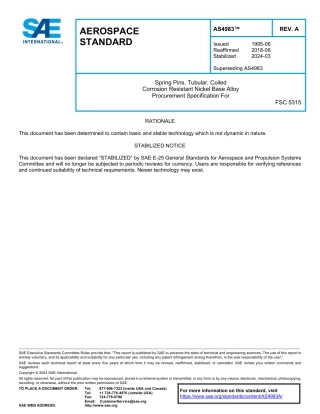 SAE AS4983A-2024.pdf