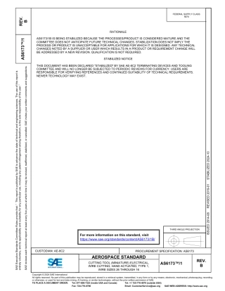 SAE AS6173-1B-2024.pdf