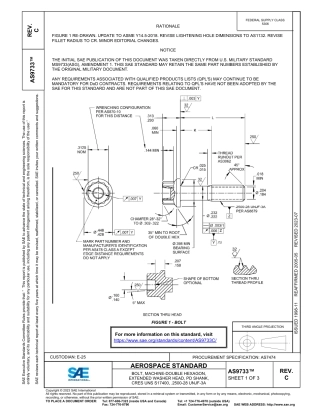 SAE AS9733C-2023.pdf