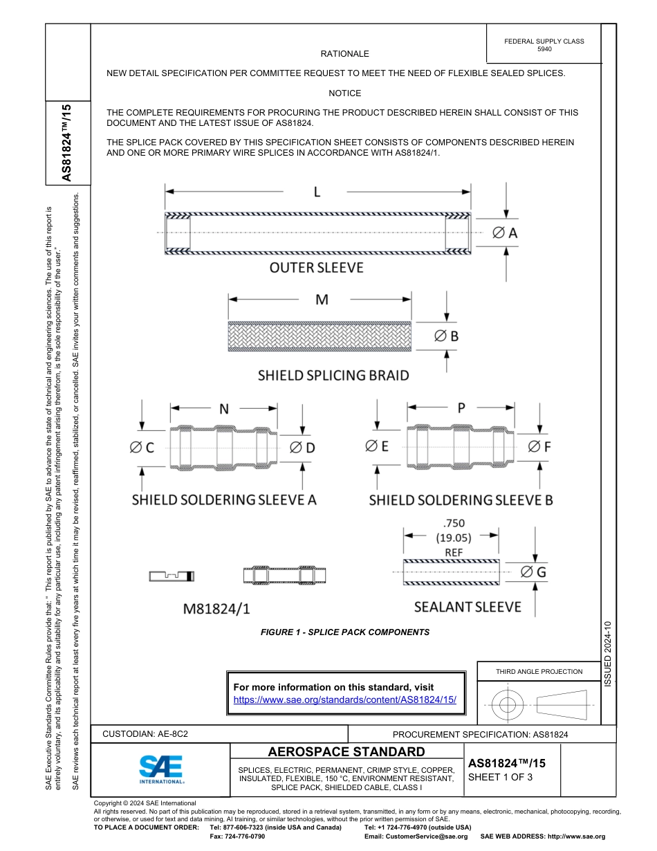 SAE AS81824-15-2024.pdf_第1页