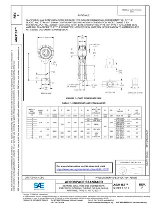 SAE AS21153F-2024.pdf