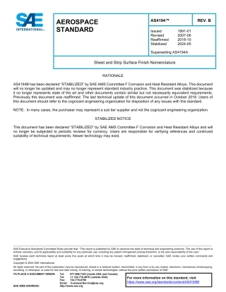 SAE AS4194B-2024.pdf