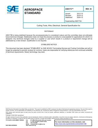 SAE AS6173B-2024.pdf