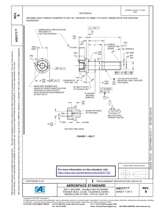 SAE AS3171B-2024.pdf