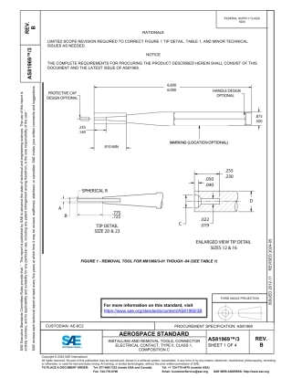 SAE AS81969-3B-2024.pdf