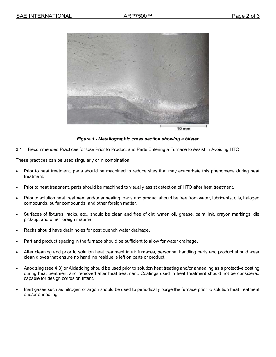 SAE ARP 7500-2024.pdf_第2页