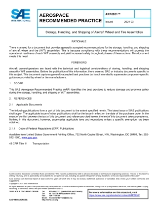 SAE ARP 6951-2024.pdf