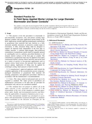 ASTM F3706 - 24.pdf
