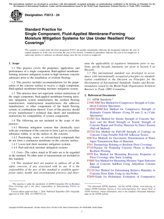 ASTM F3513 - 24.pdf