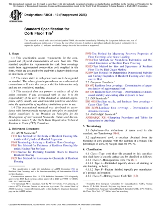 ASTM F3008 - 13 (2025).pdf