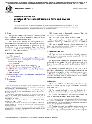 ASTM F2441 - 25.pdf