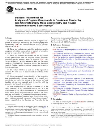 ASTM E2999 - 25a.pdf